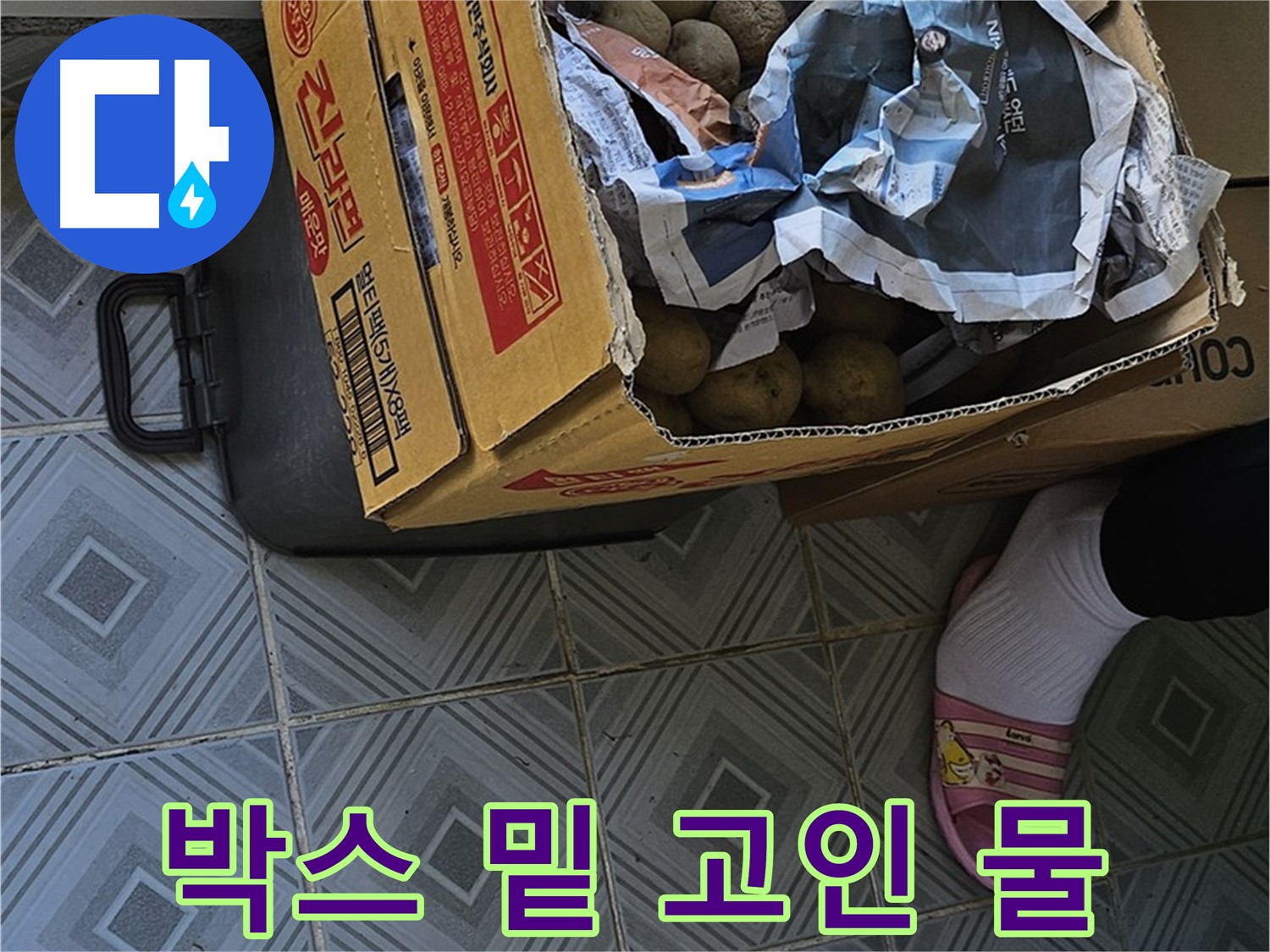 양천구 누수 현장 - 감자 박스 밑에 고인 물은 명백한 누수의 증거일 수 있습니다 - 원인 파악이 중요합니다.