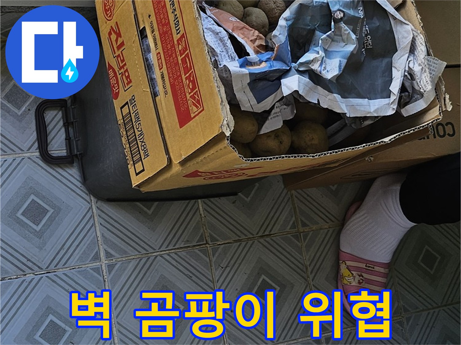 양천구 신월1동 엘리시안 A동 누수 현장 - 감자 박스 주변 벽에 곰팡이가 피었다면 건강을 위협할 수 있습니다 - 즉시 누수 점검을 받으세요.