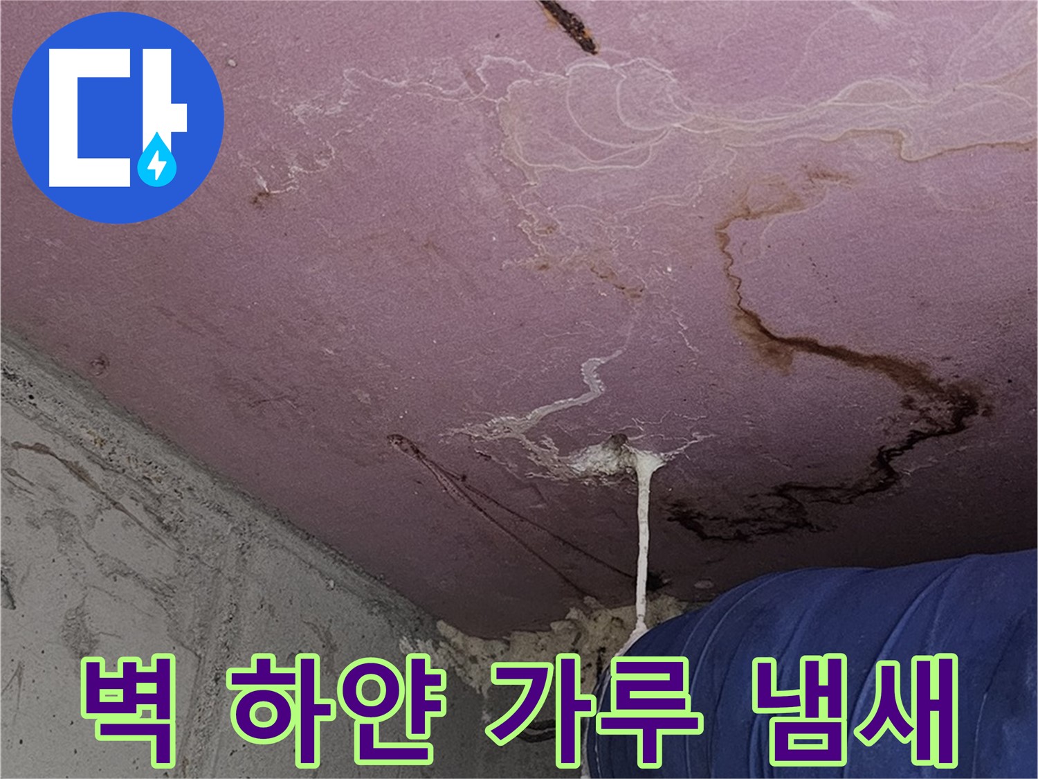 양천구 신월동 누수 - 벽 하얀 가루 - 곰팡이 냄새 제거