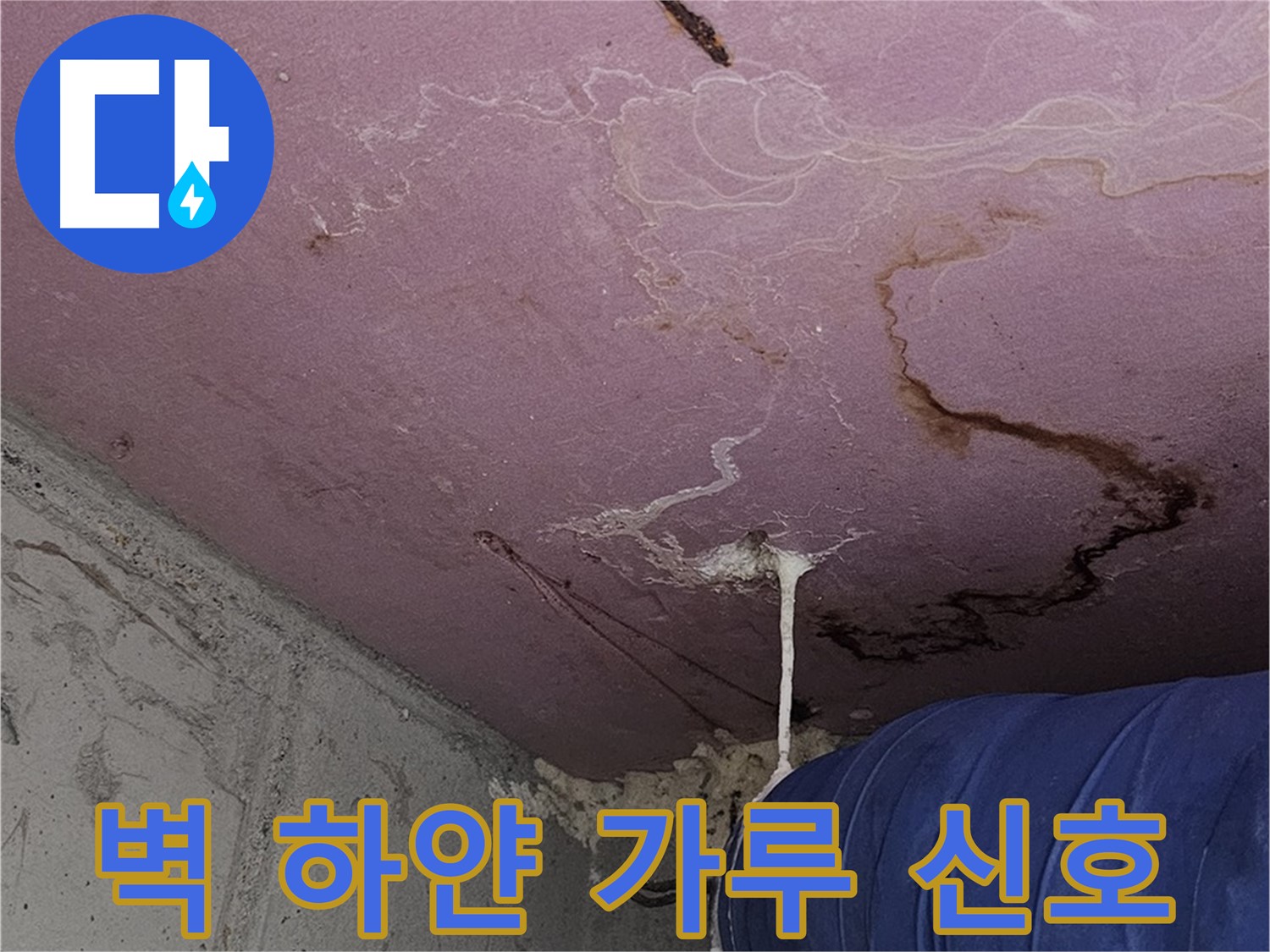 양천구 신월동 누수 - 벽 하얀 가루 - 누수 초기 신호