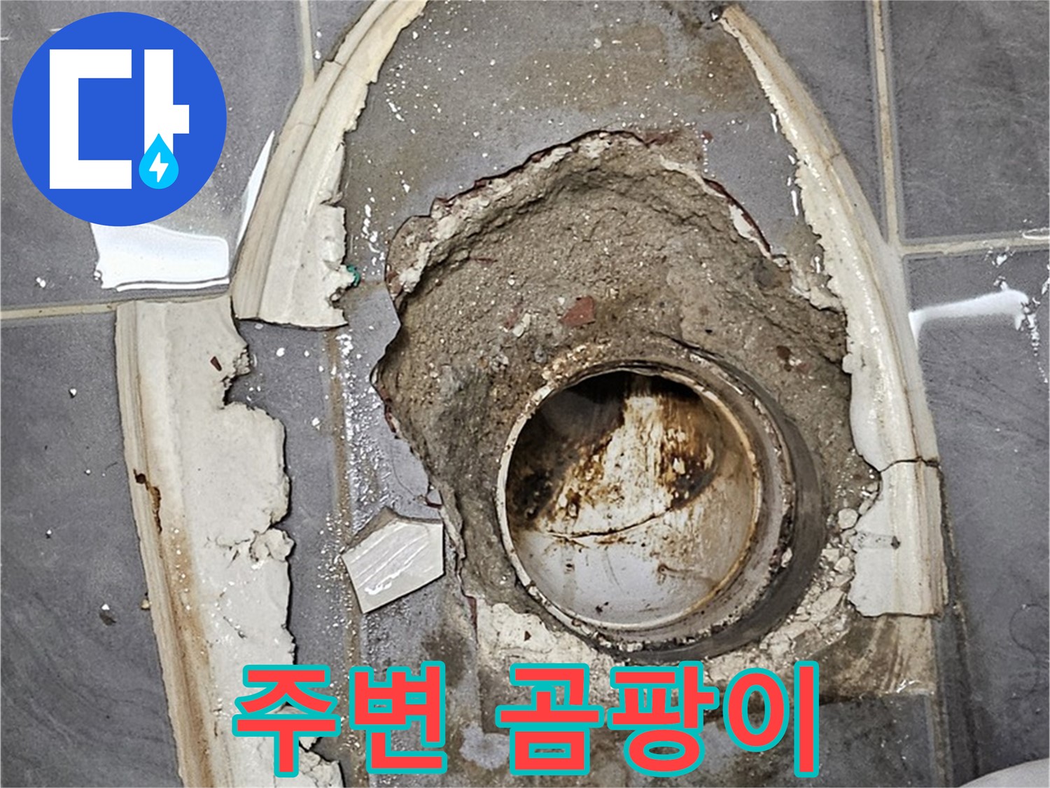양천구 신월동 변기 누수 - 주변 곰팡이