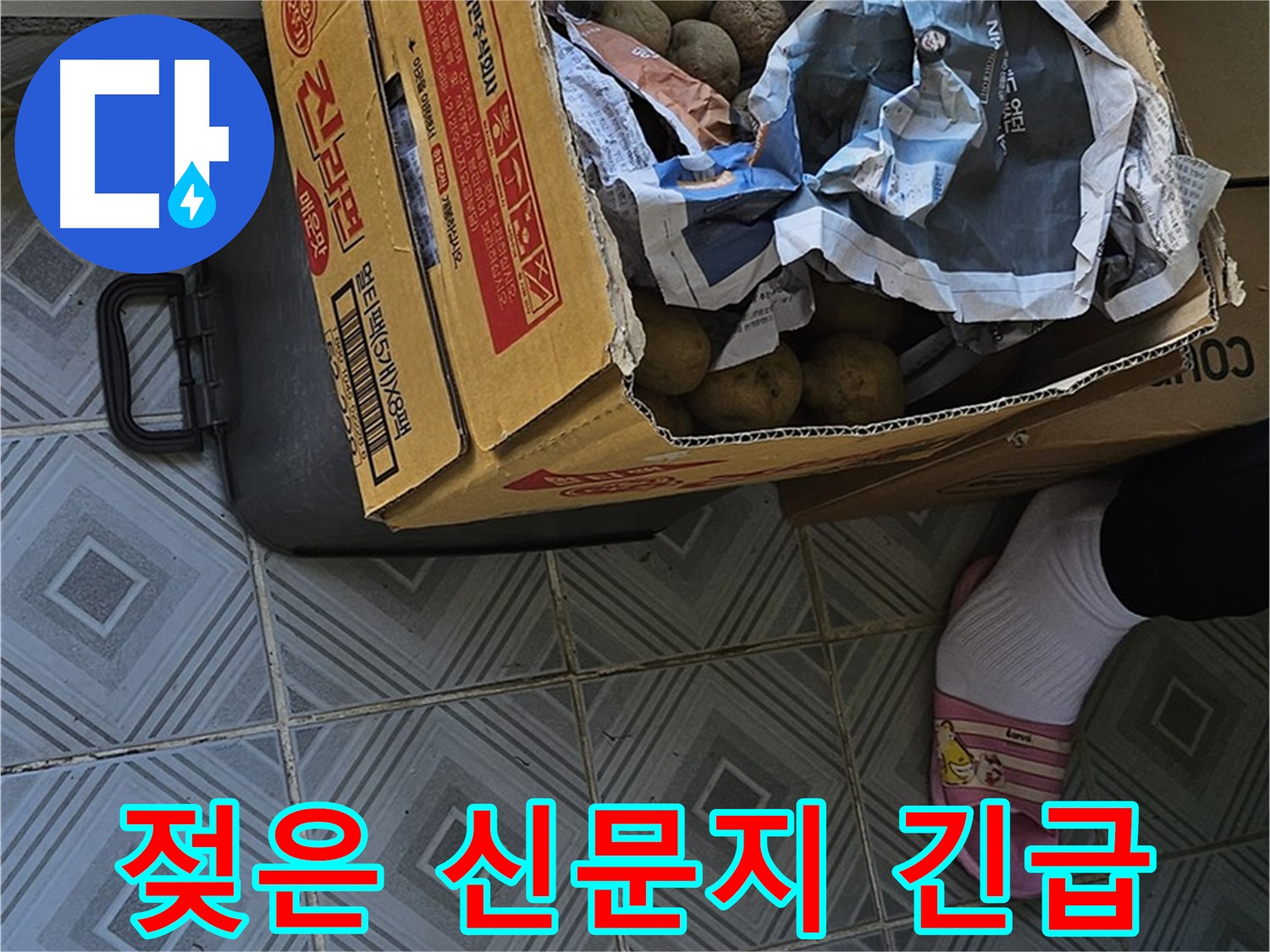 양천구 오목로 엘리시안 누수 현장 - 감자 박스 위 젖은 신문지는 긴급 상황임을 알리는 신호입니다 - 즉시 전문가의 도움이 필요합니다.