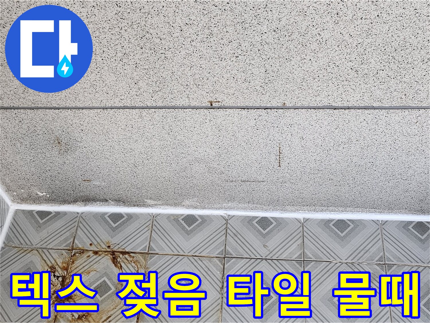 양천구 - 텍스 젖음 - 타일 물때 - 분위기 저하