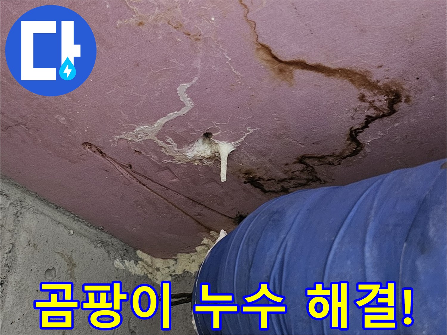 엘리시안 A동 곰팡이 - 누수 - 완벽한 해결!