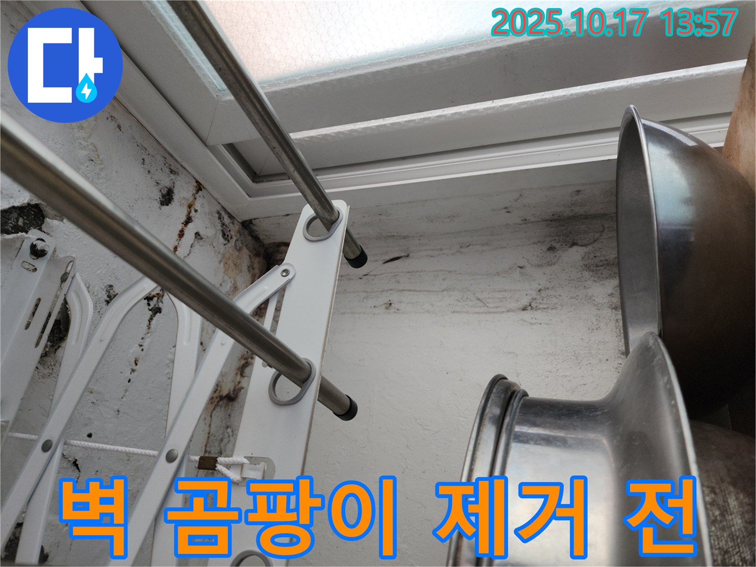 벽에 심하게 핀 곰팡이-제거 전의 심각한 상태를 보여줍니다.