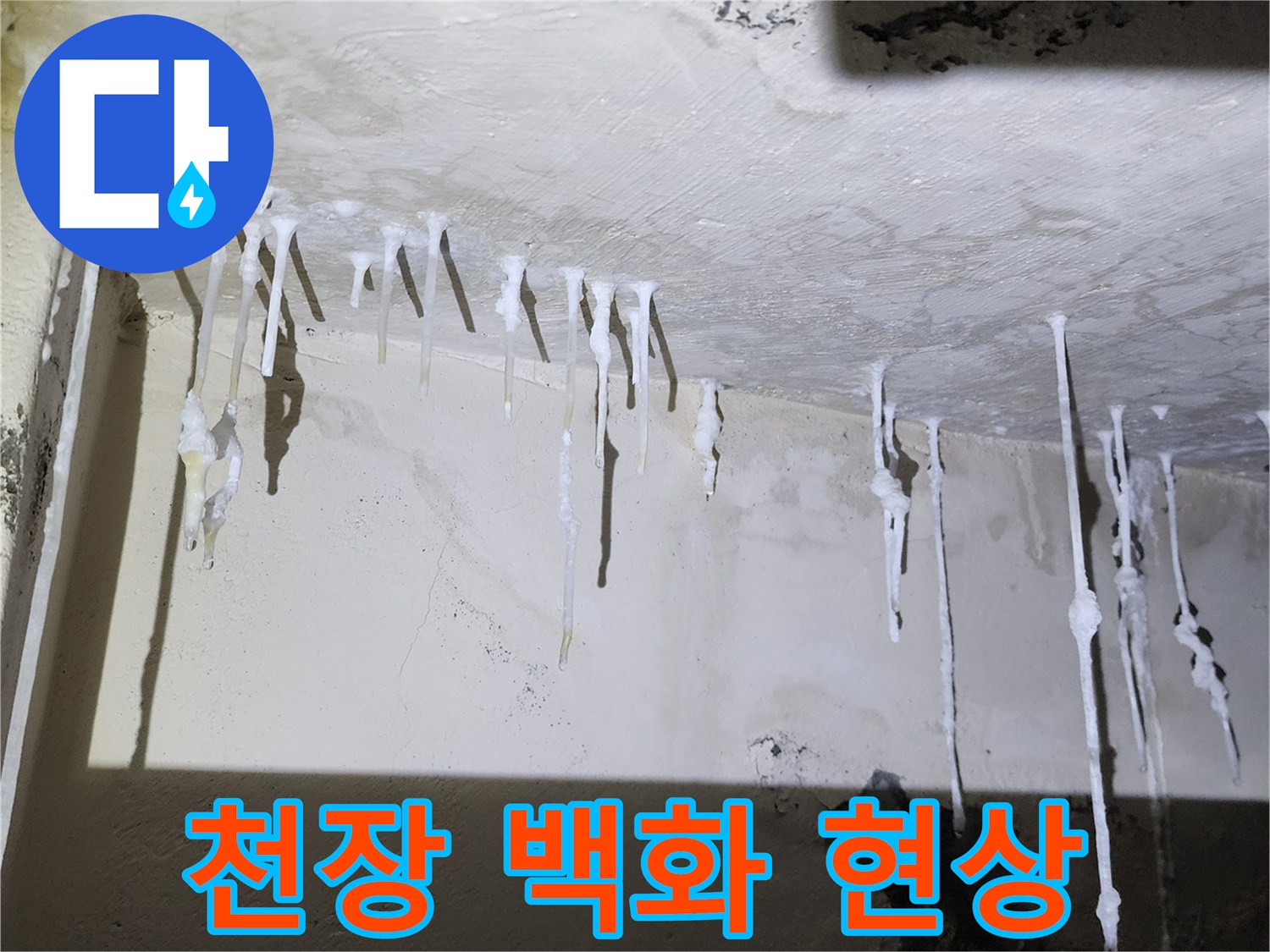 아래층 천장에 하얗게 맺힌 백화현상-석회 고드름