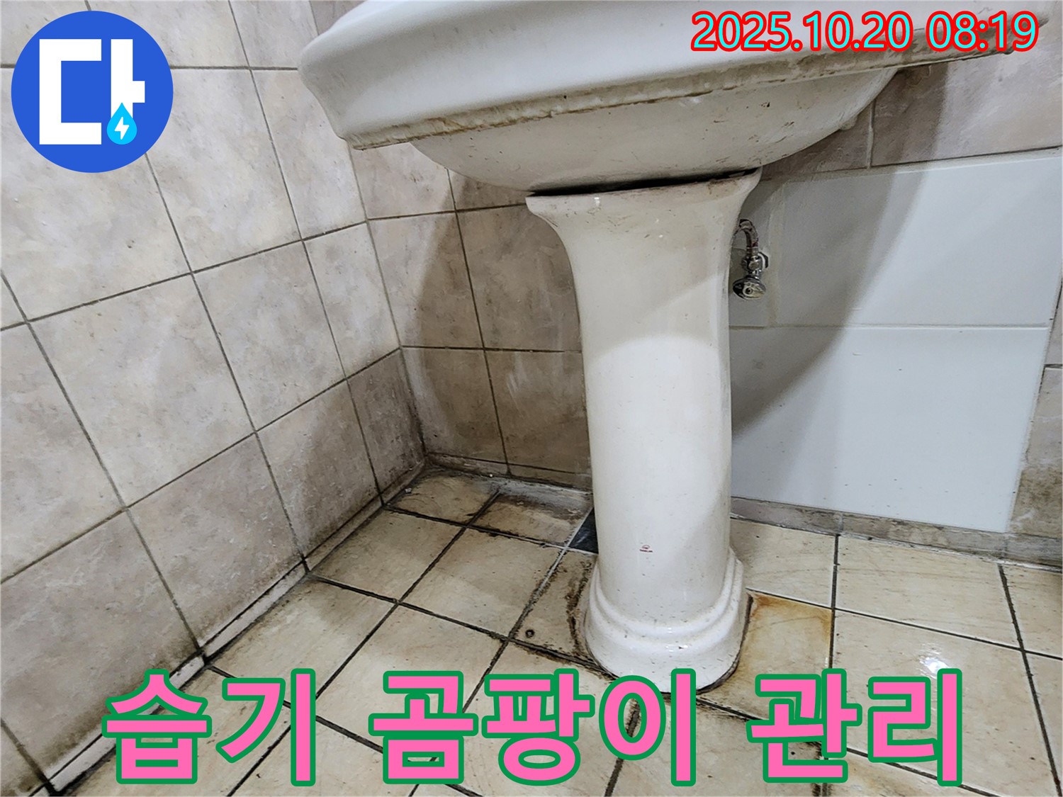 양주시 장흥면 석현리 세면대 습기 곰팡이 - 세면대 주변의 습기와 곰팡이 누수를 집중 관리하는 서비스를 제공하고 있습니다.