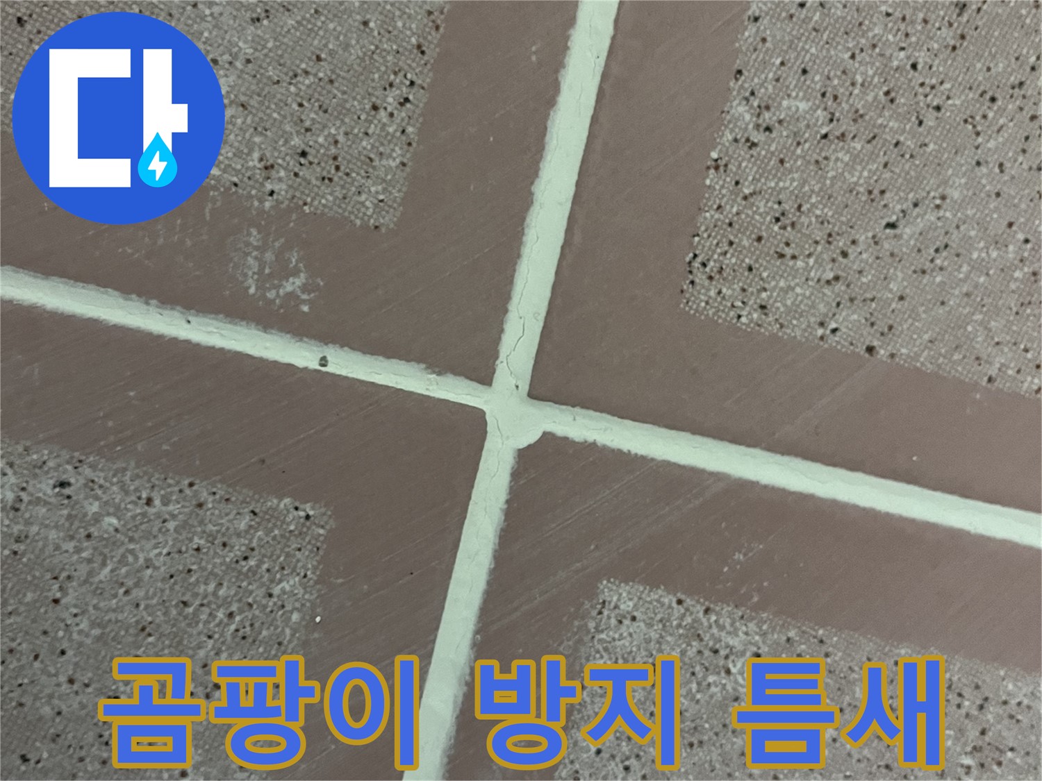 금천구 독산동 형제맨션빌 - 곰팡이 방지 줄눈으로 타일 틈새를 꼼꼼하게 메워 곰팡이와 누수를 동시에 차단합니다.
