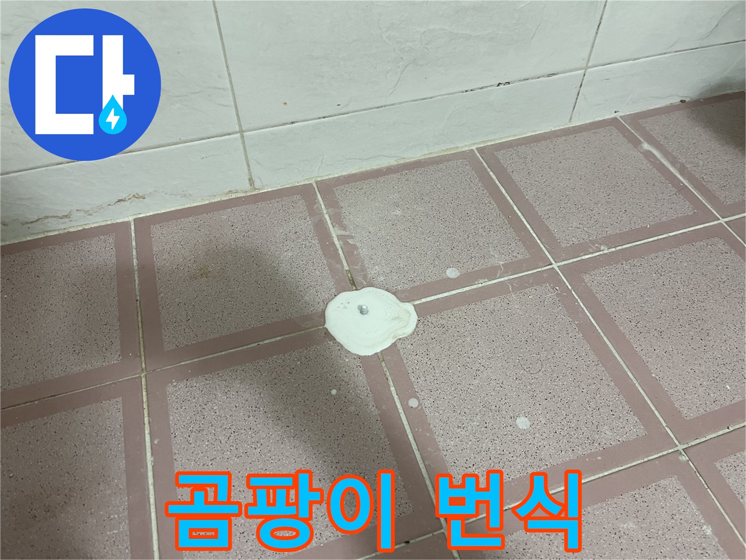 금천구 형제맨션빌 누수 - 곰팡이 번식