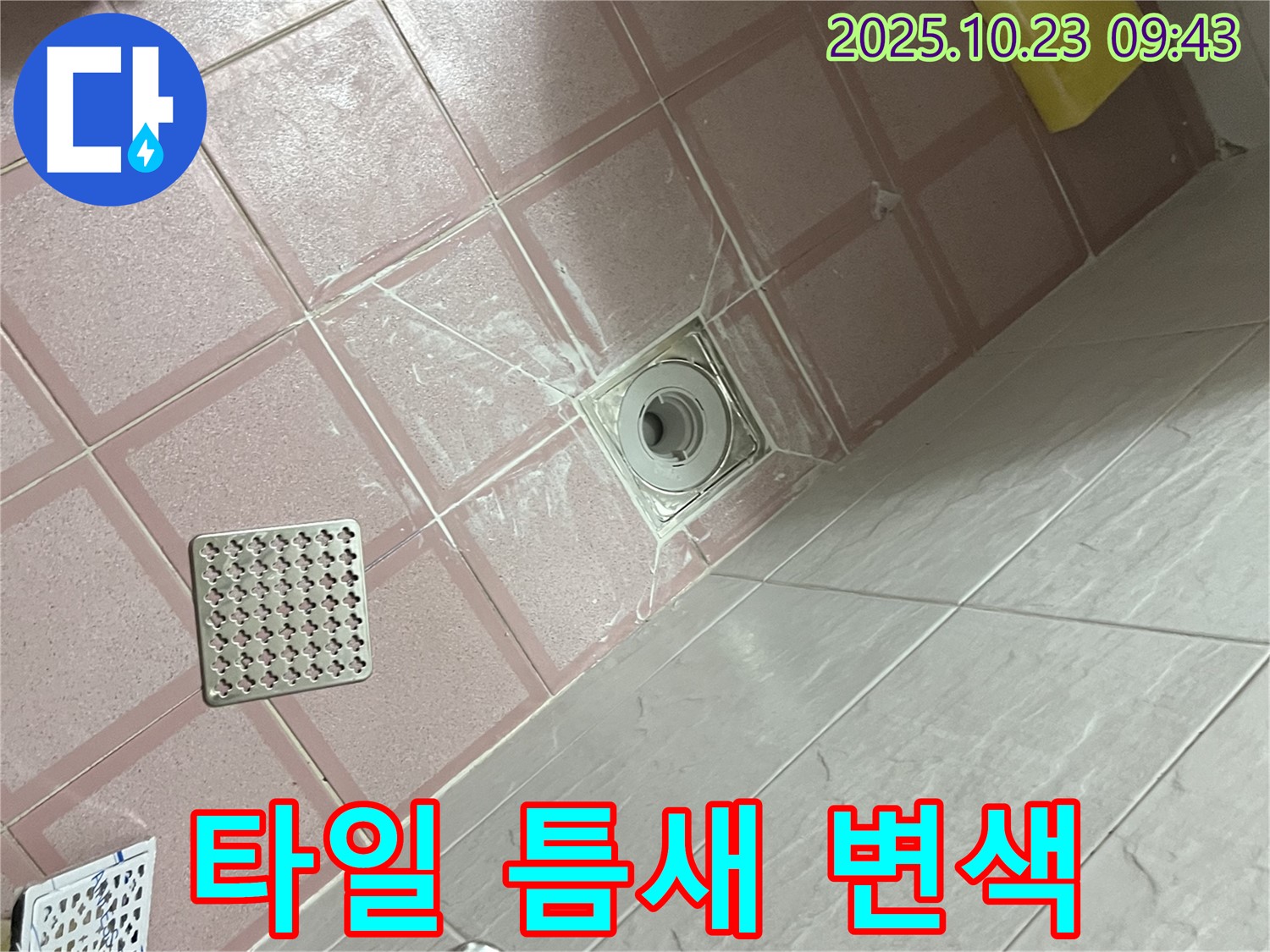 독산동 형제맨션빌 욕실 - 배수구 주변 타일 틈새 검게 변색, 곰팡이와 누수의 합작?!