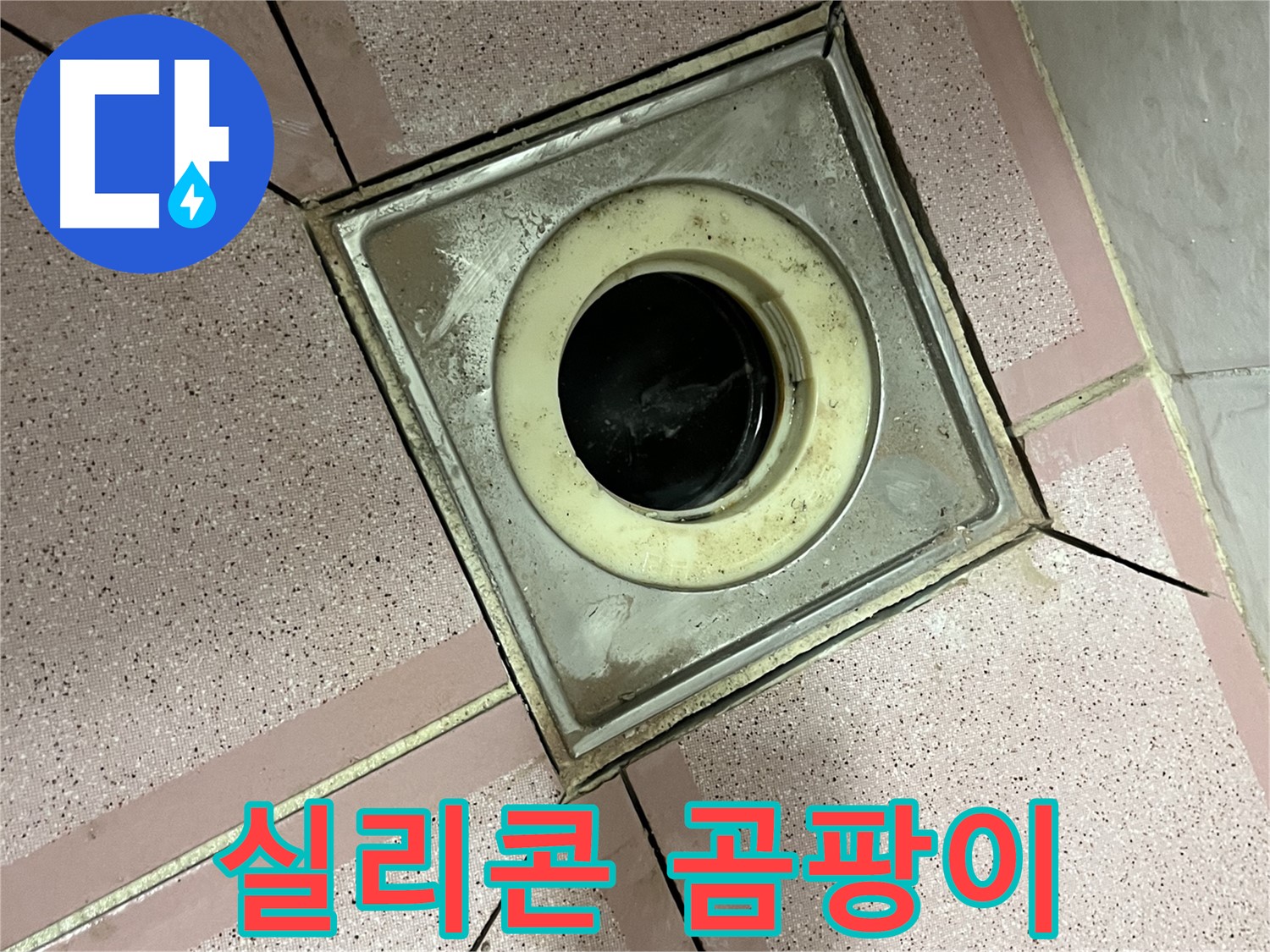 독산동 형제빌 누수 진단을 위한 유가 주변 실리콘 곰팡이 확인