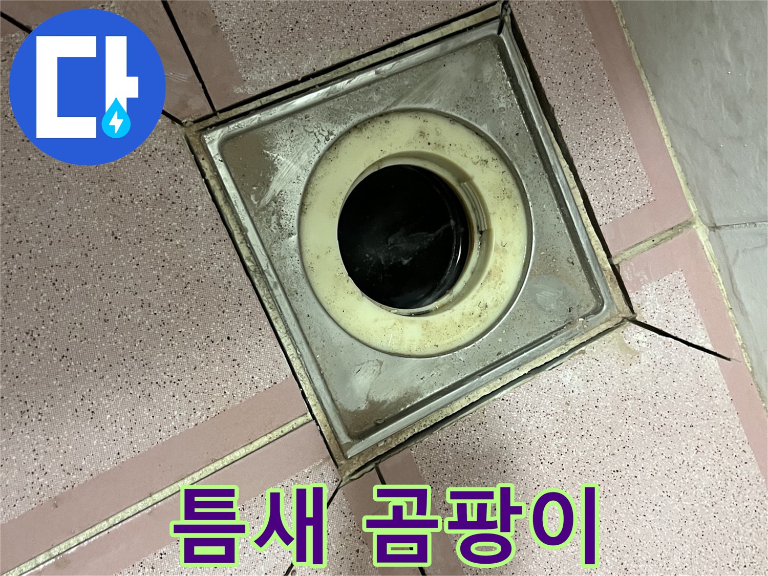 독산동 형제빌 화장실 유가 주변 틈새 곰팡이 심각 확인 - 제거 준비
