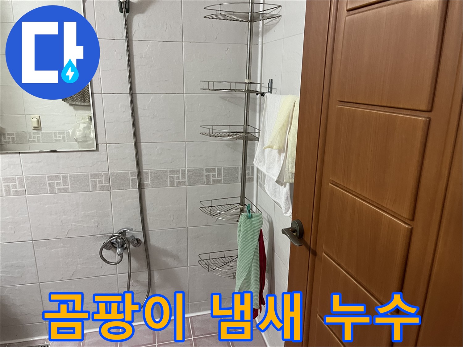 샤워기 옆 코너 선반 곰팡이 냄새 - 습기 및 누수 진행 중