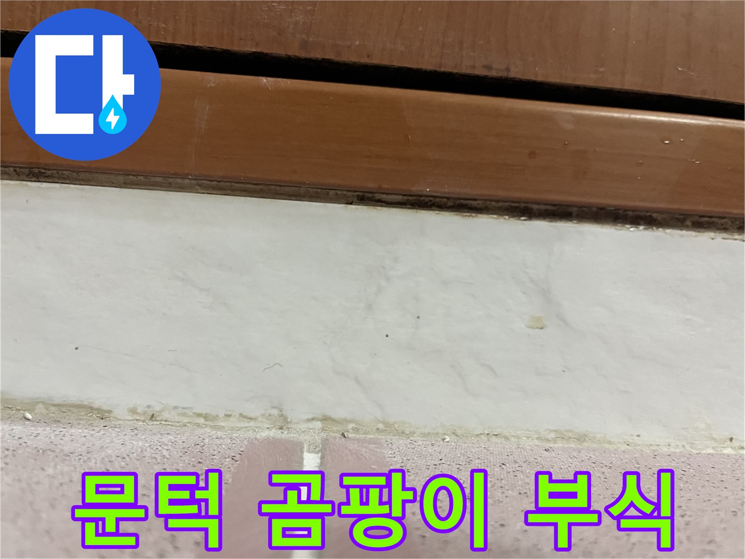 형제맨션빌 누수 - 문턱 아래 타일 틈새 곰팡이와 부식