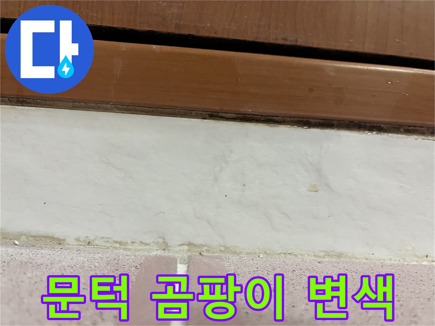 형제맨션빌 누수 - 문턱 주변 타일 틈새 곰팡이와 백시멘트 변색