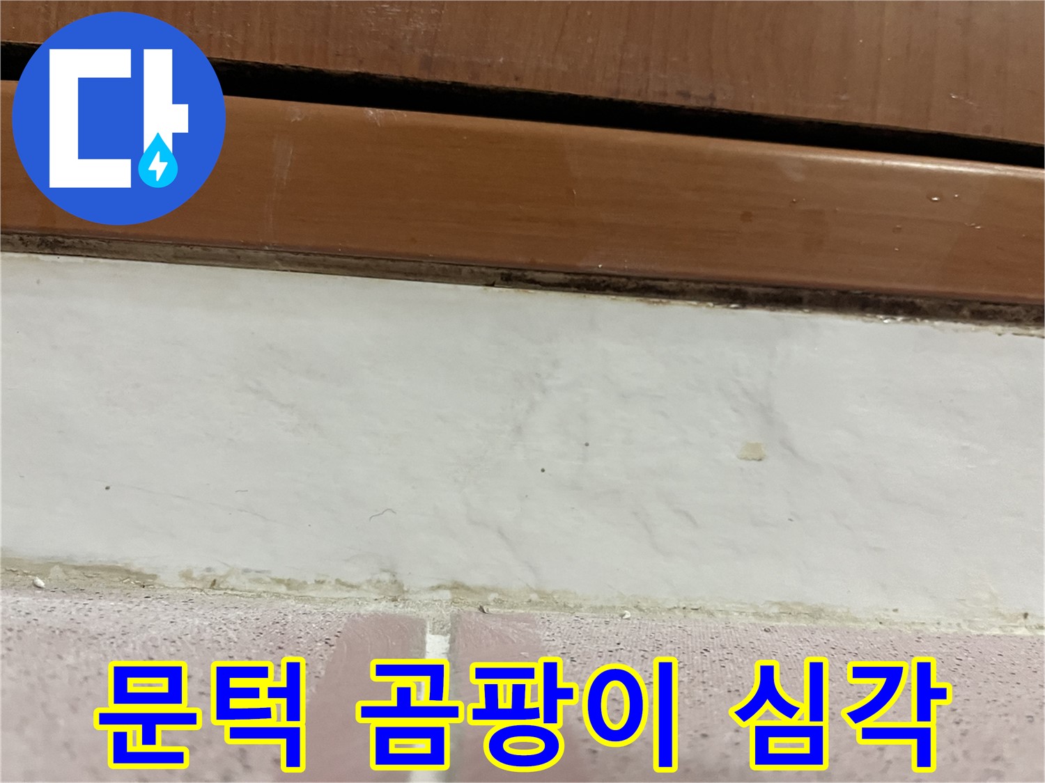 형제맨션빌 누수 - 문턱 주변 타일 틈새 곰팡이와 찌든 때 심각