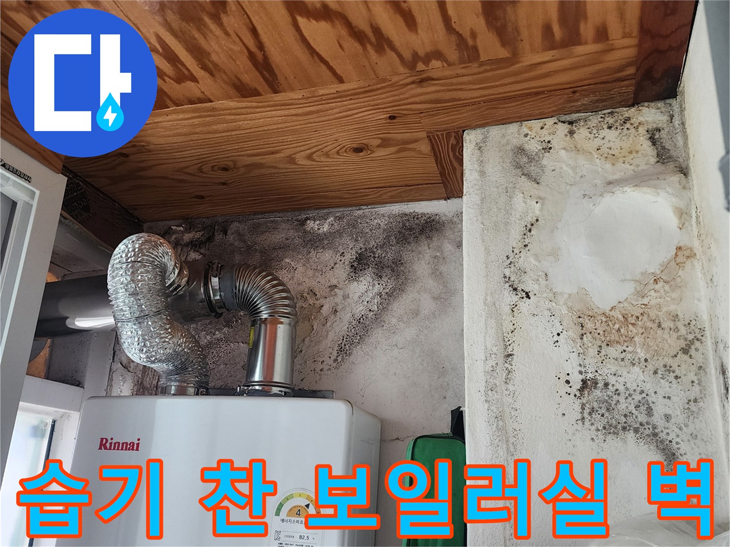 보일러실 내부의 곰팡이 핀 벽면과 습기에 젖은 천장 구조물