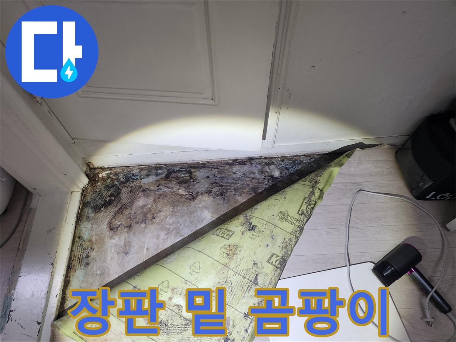 양재동 현대빌라 누수 - 장판 밑 곰팡이와 습기로 심각한 상태