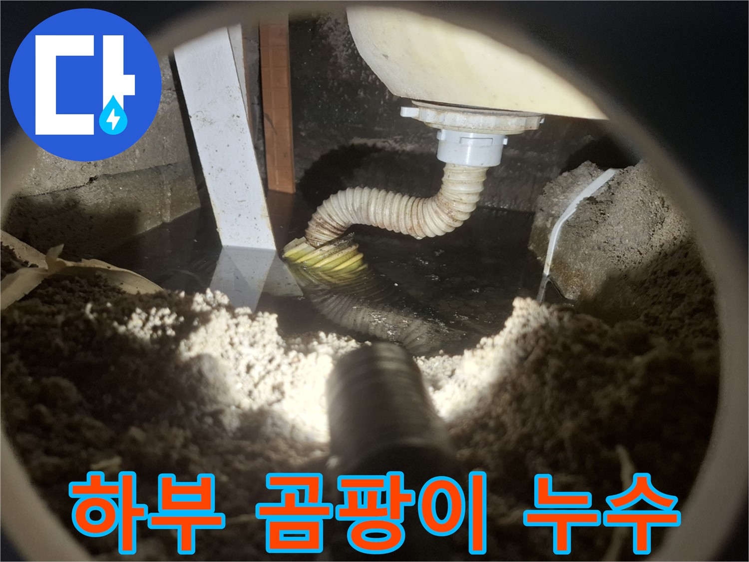 수원 팔달구 신풍동 누수 - 싱크대 하부 공간에 곰팡이 발생 - 누수 의심 점검