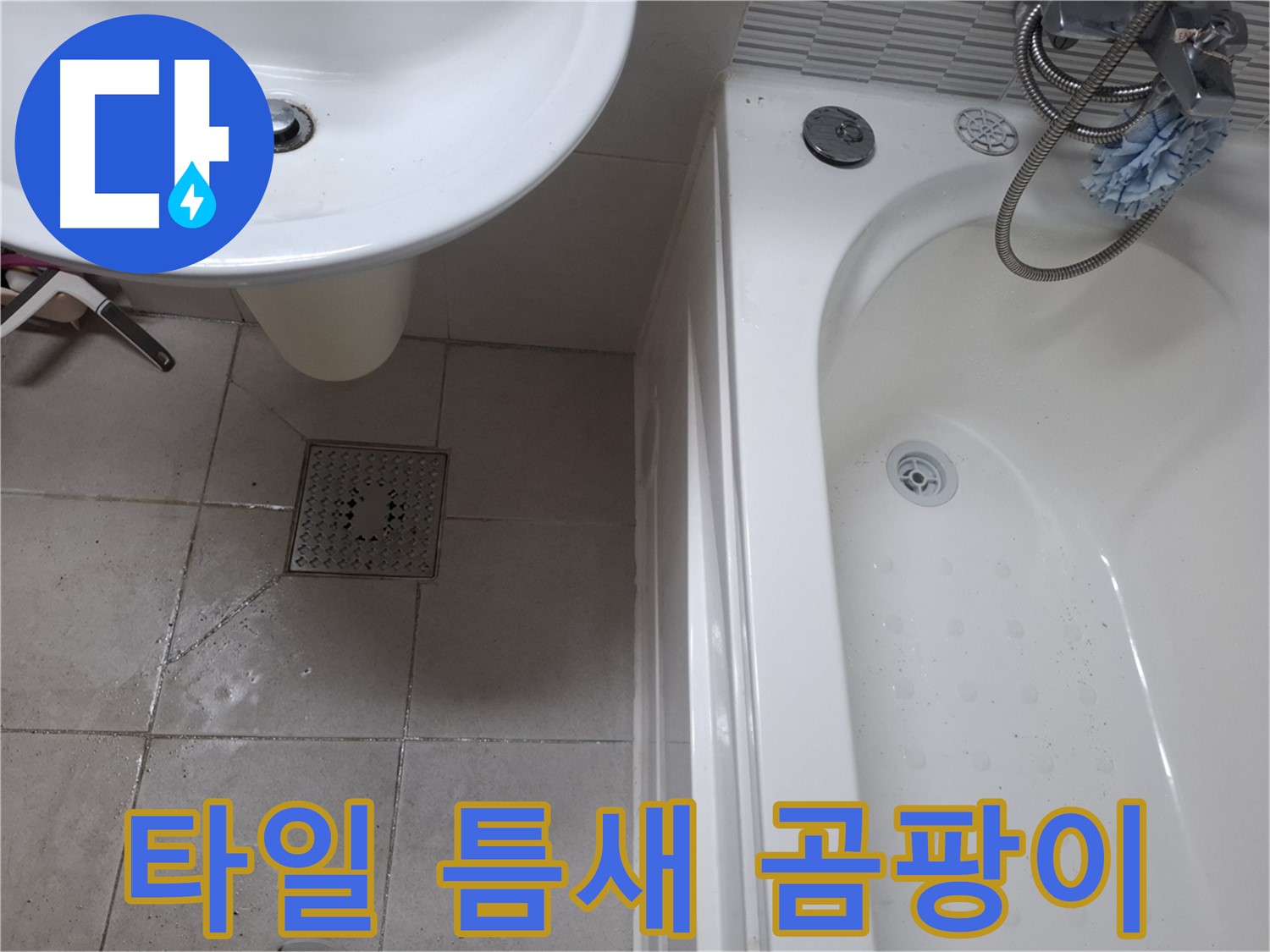 욕실 타일 틈새 곰팡이 - 싹쓸이 청소