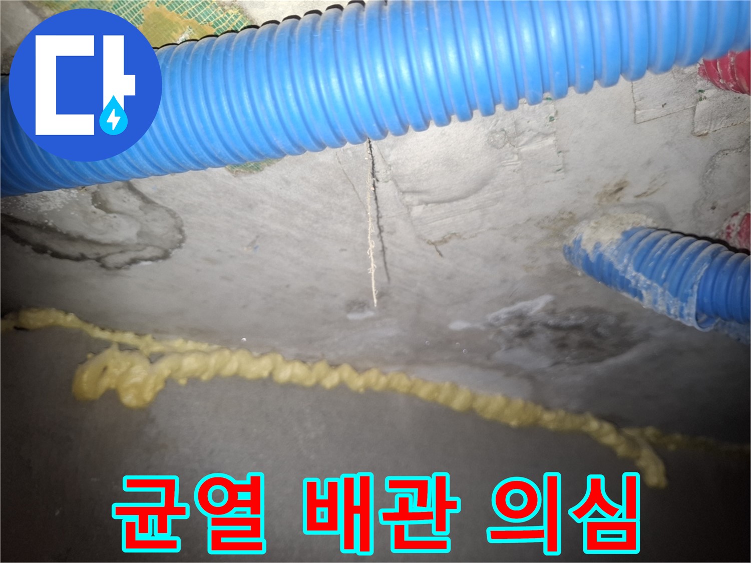 천장 균열 - 배관 누수 의심 - 정밀 검사 진행 - 신풍동 누수