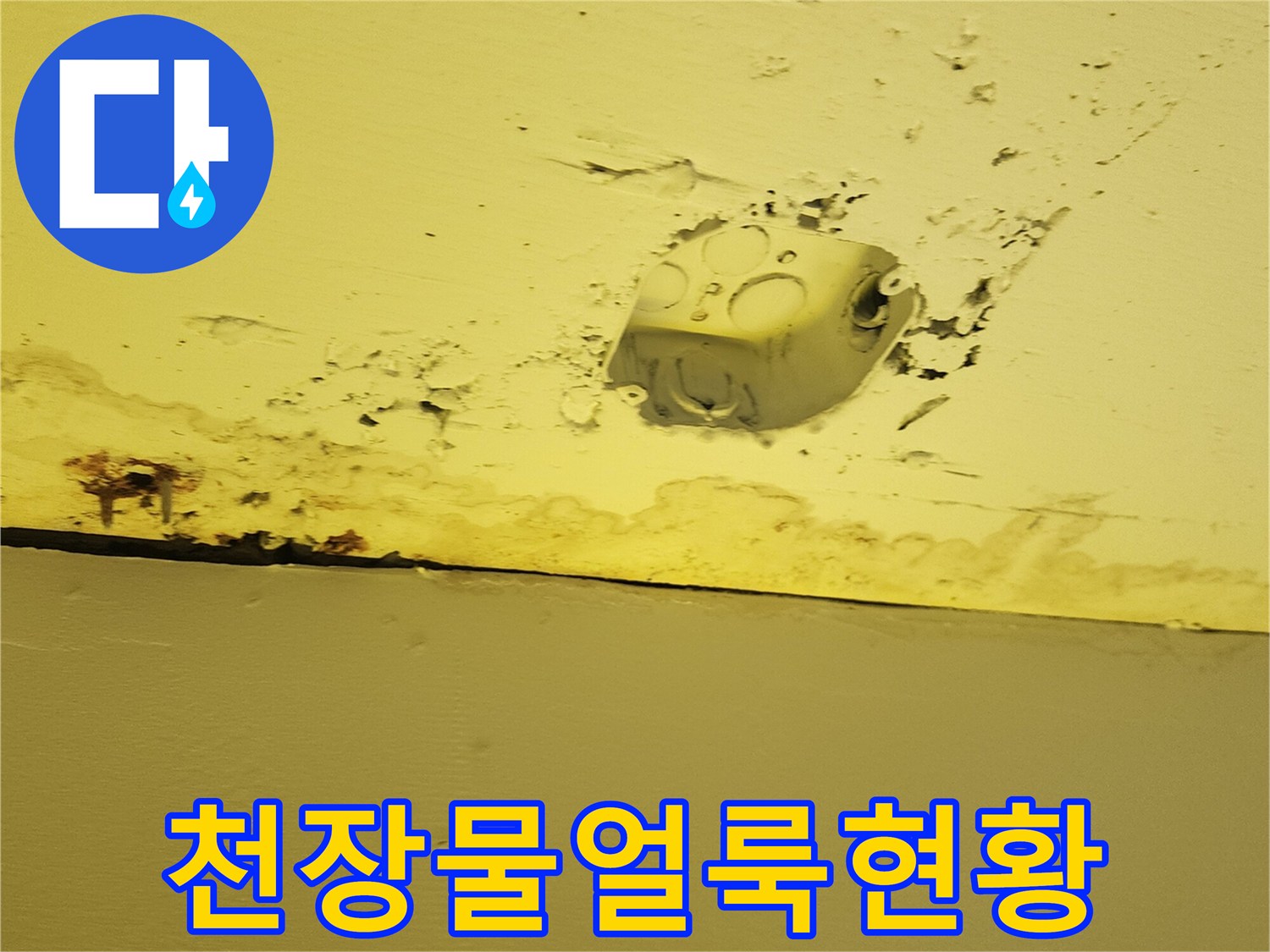 양주 도하리 상가 천장의 노란색 마감재 주변에 나타난 젖은 흔적과 얼룩