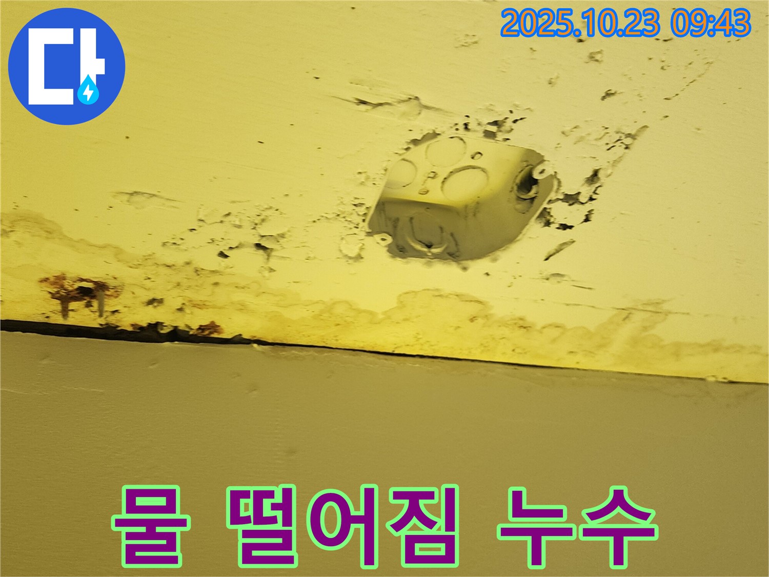 양주시 도하리 누수 현장 - 천장 콘센트 주변에서 물이 떨어지는 긴급 상황입니다.