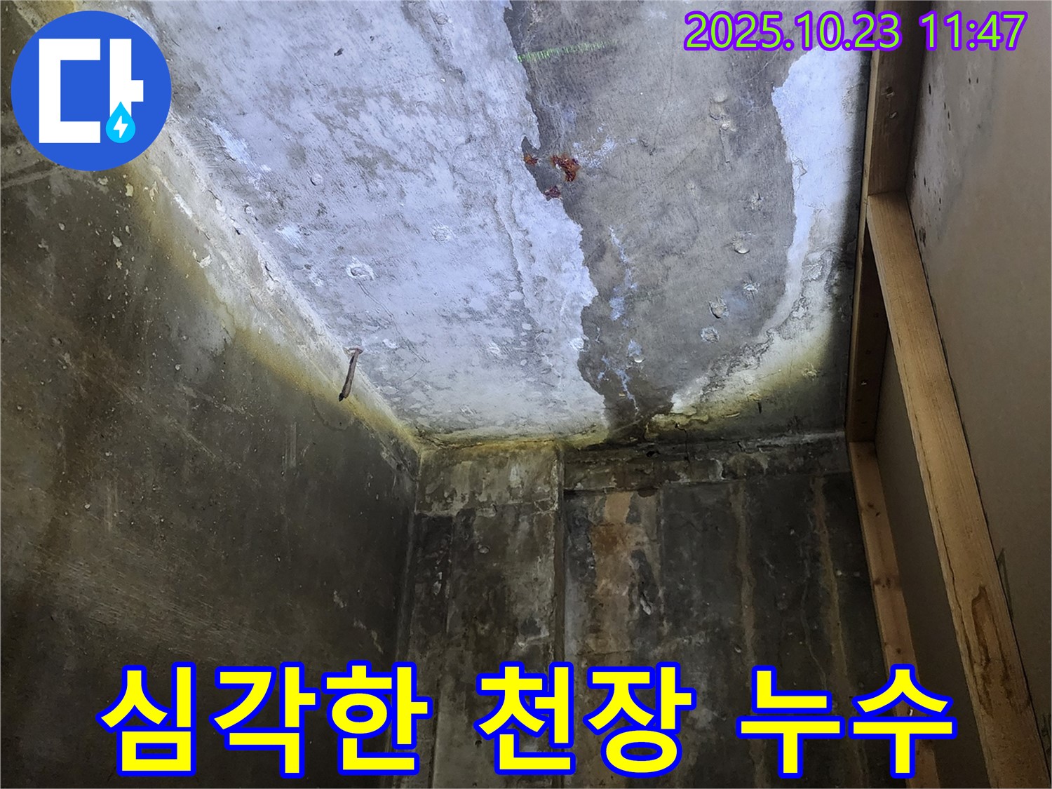 양주시 은현면 하패리 - 심각한 천장 누수와 곰팡이 발생