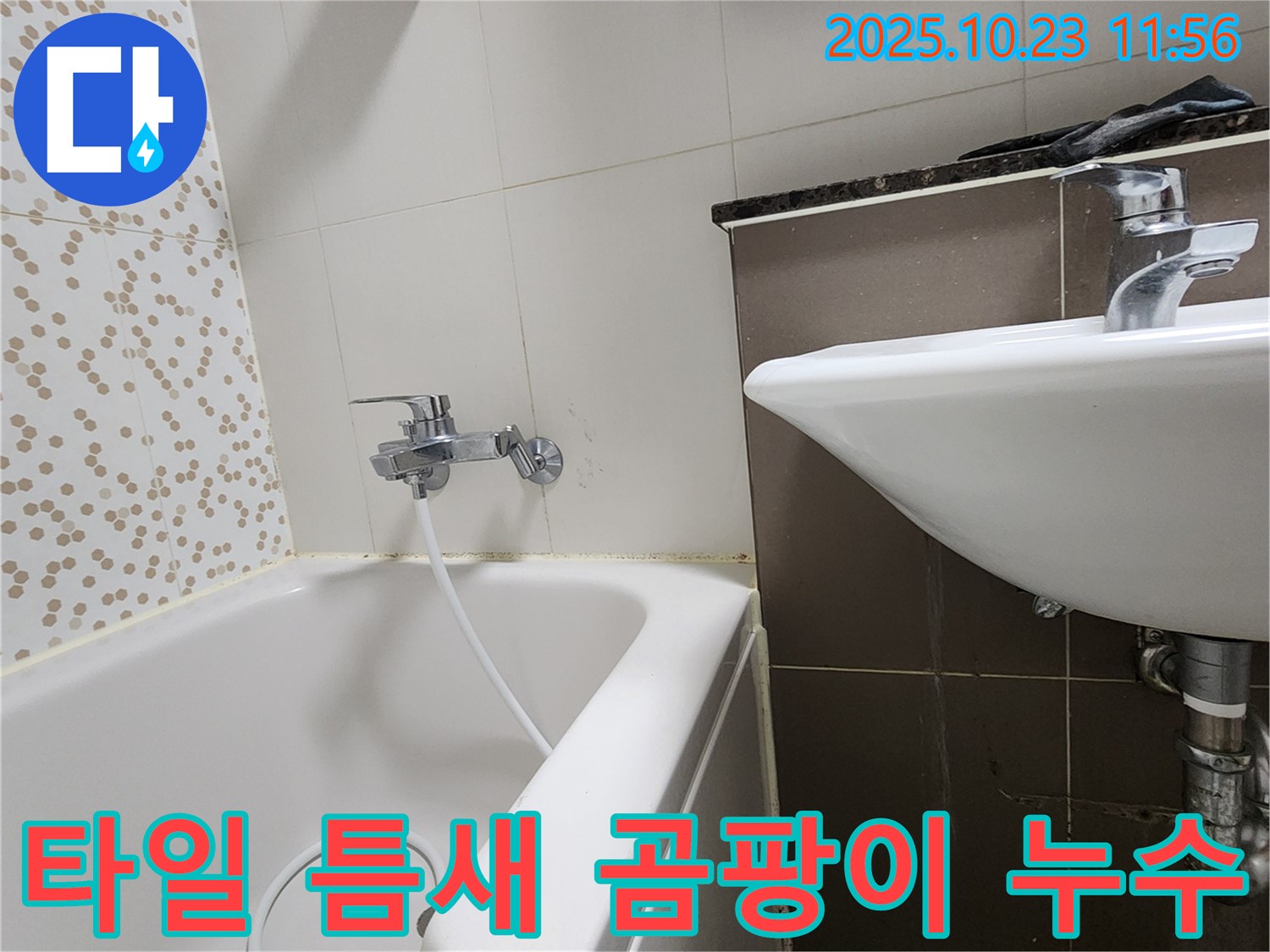 양주시 은현면 하패리 욕조 옆 타일 틈새 곰팡이 & 누수 - 곰팡이 제거 후 방수 처리로 재발 방지!