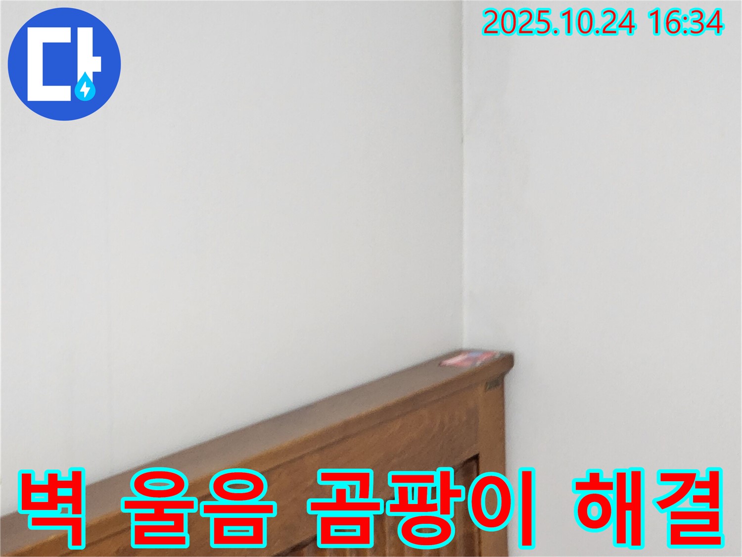 양주1동 봉우로 누수 현장 - 벽 울음 현상과 곰팡이 문제를 해결하는 누수 전문가의 섬세한 작업