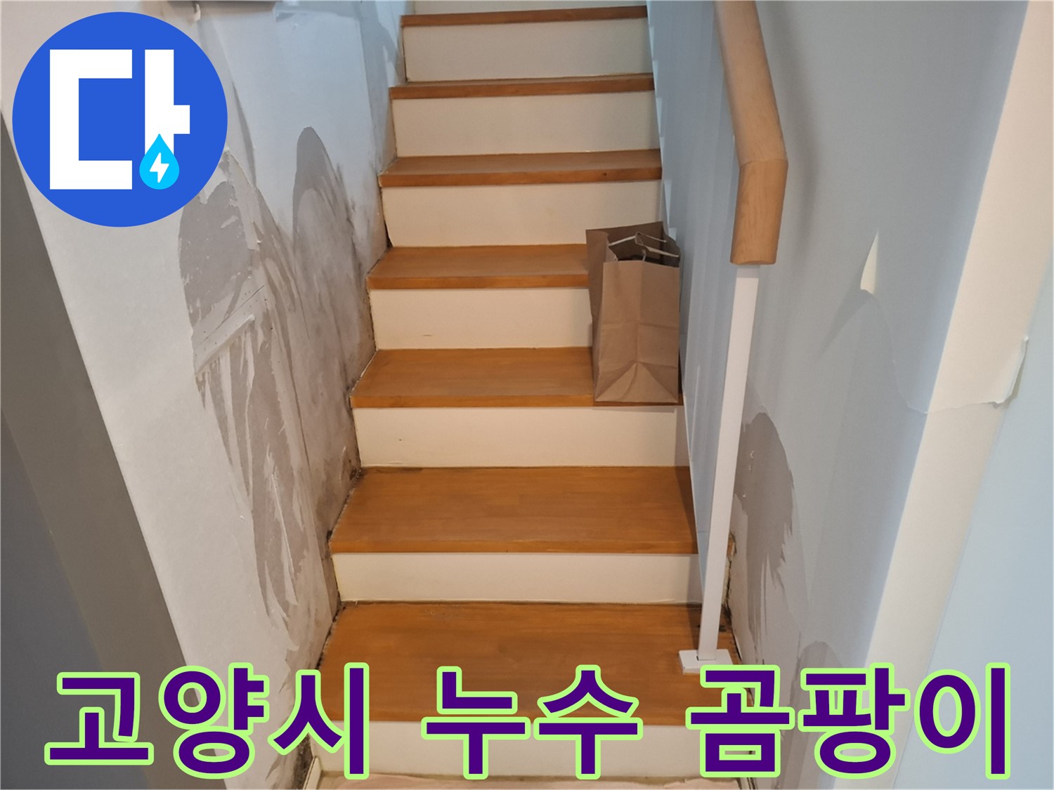 계단 옆 벽 곰팡이 - 건강 위협, 곰팡이 퇴치
