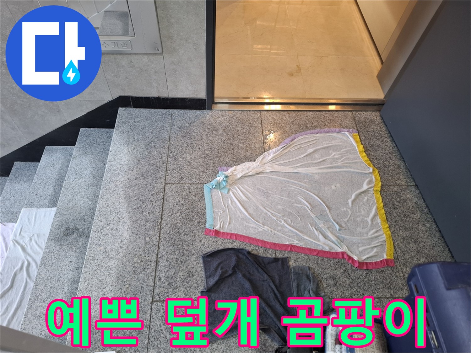 예쁜 덮개와 어두운 회색 상의 - 곰팡이 세트?