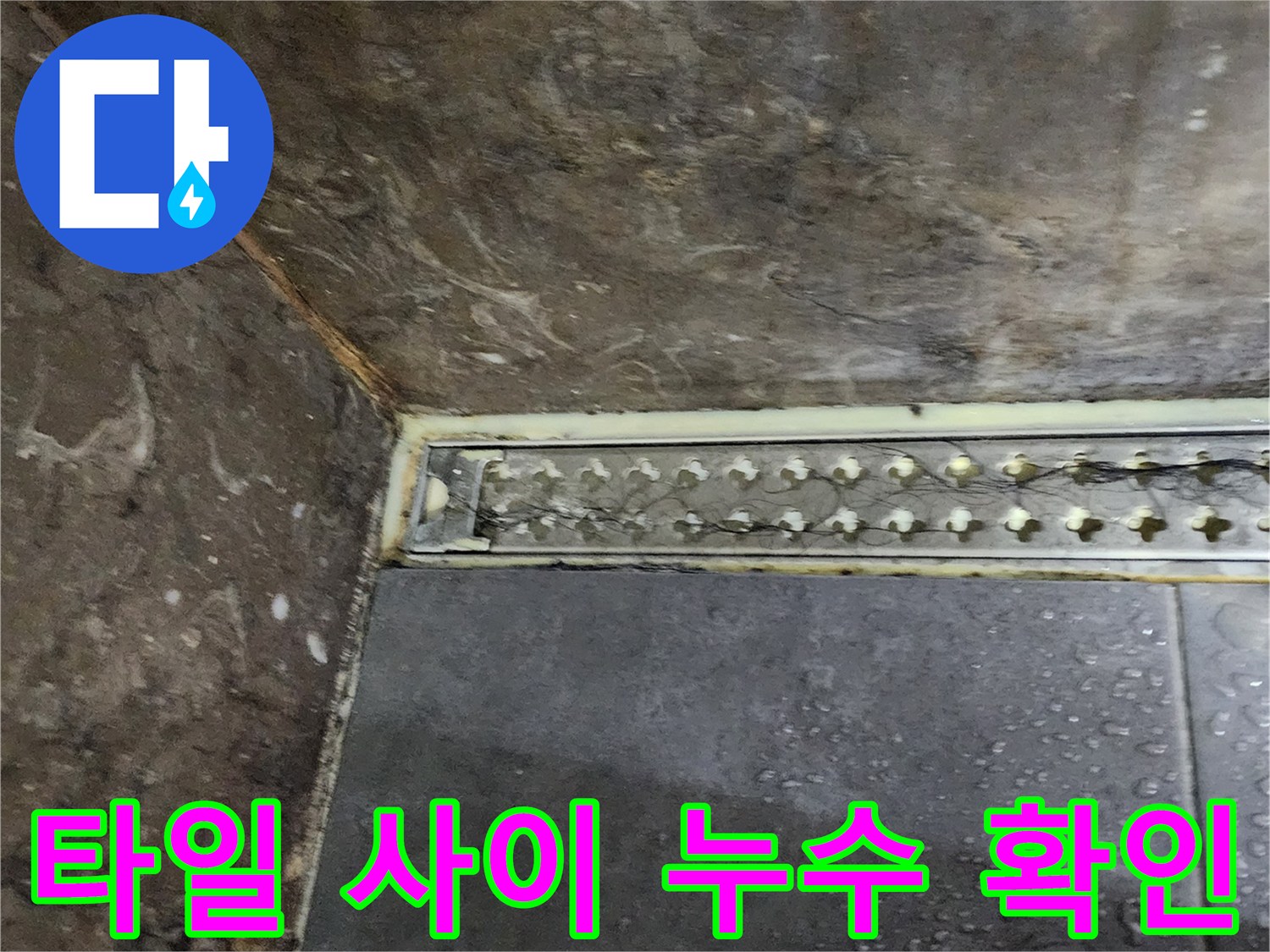 양주시 옥정동 화장실-타일 하단 배수구 주변 물샘 현상 사진