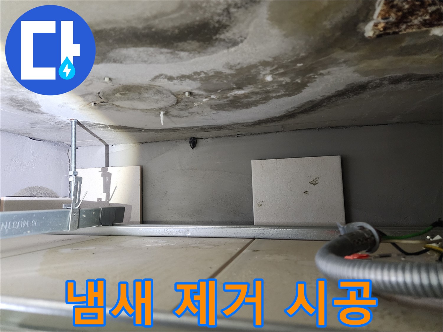 곰팡이 냄새 제거-쾌적한 실내 환경 조성
