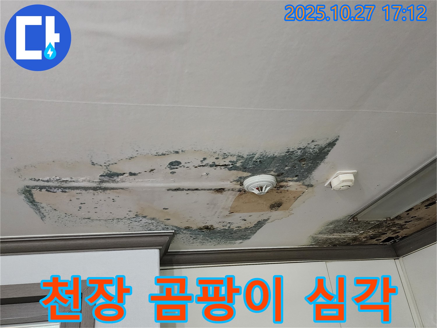 회천2동 아파트 천장 누수 - 곰팡이 오염 심각 단계