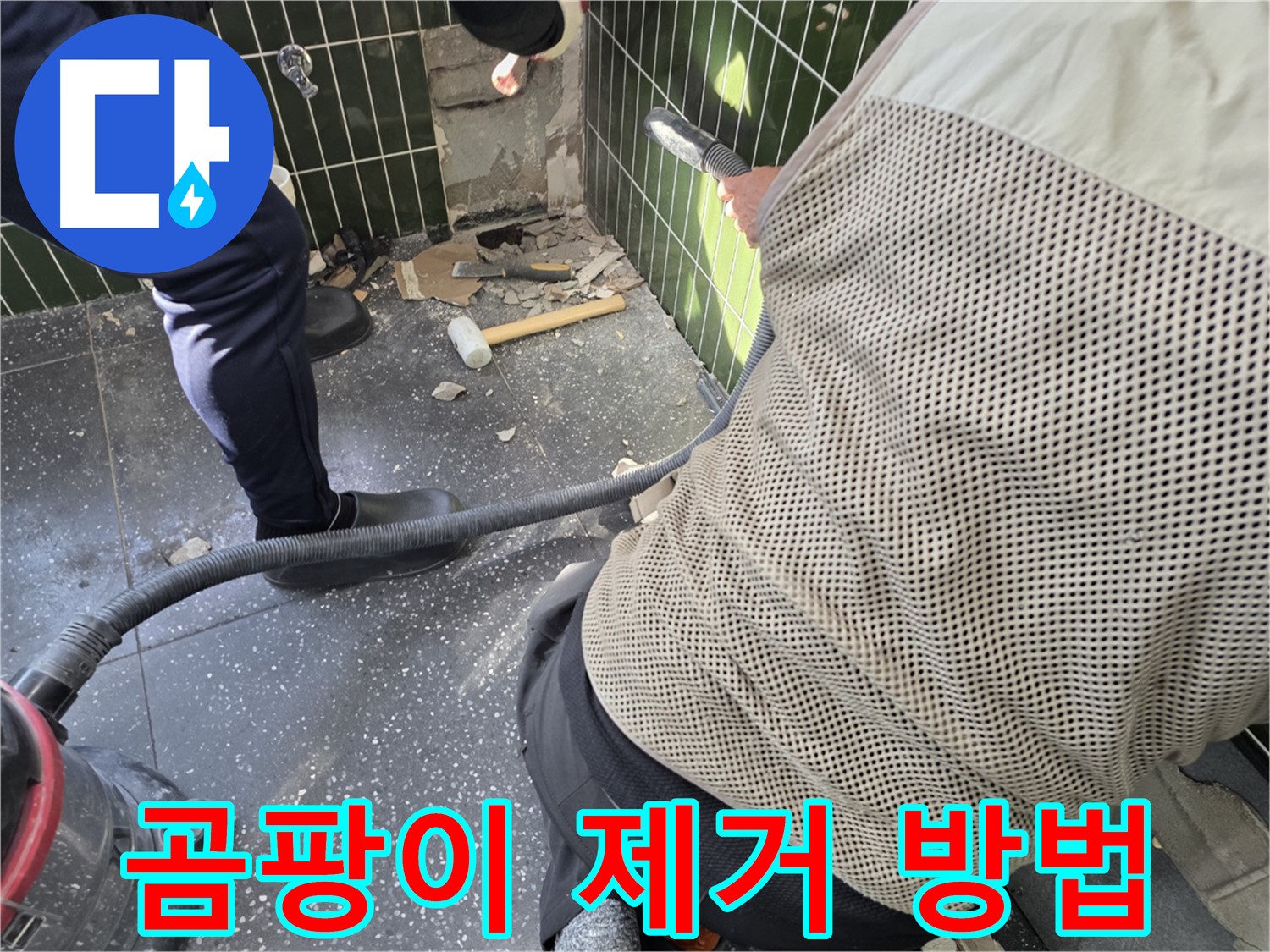 광진구 자양2동 누수 - 곰팡이 제거를 위한 최적 방법