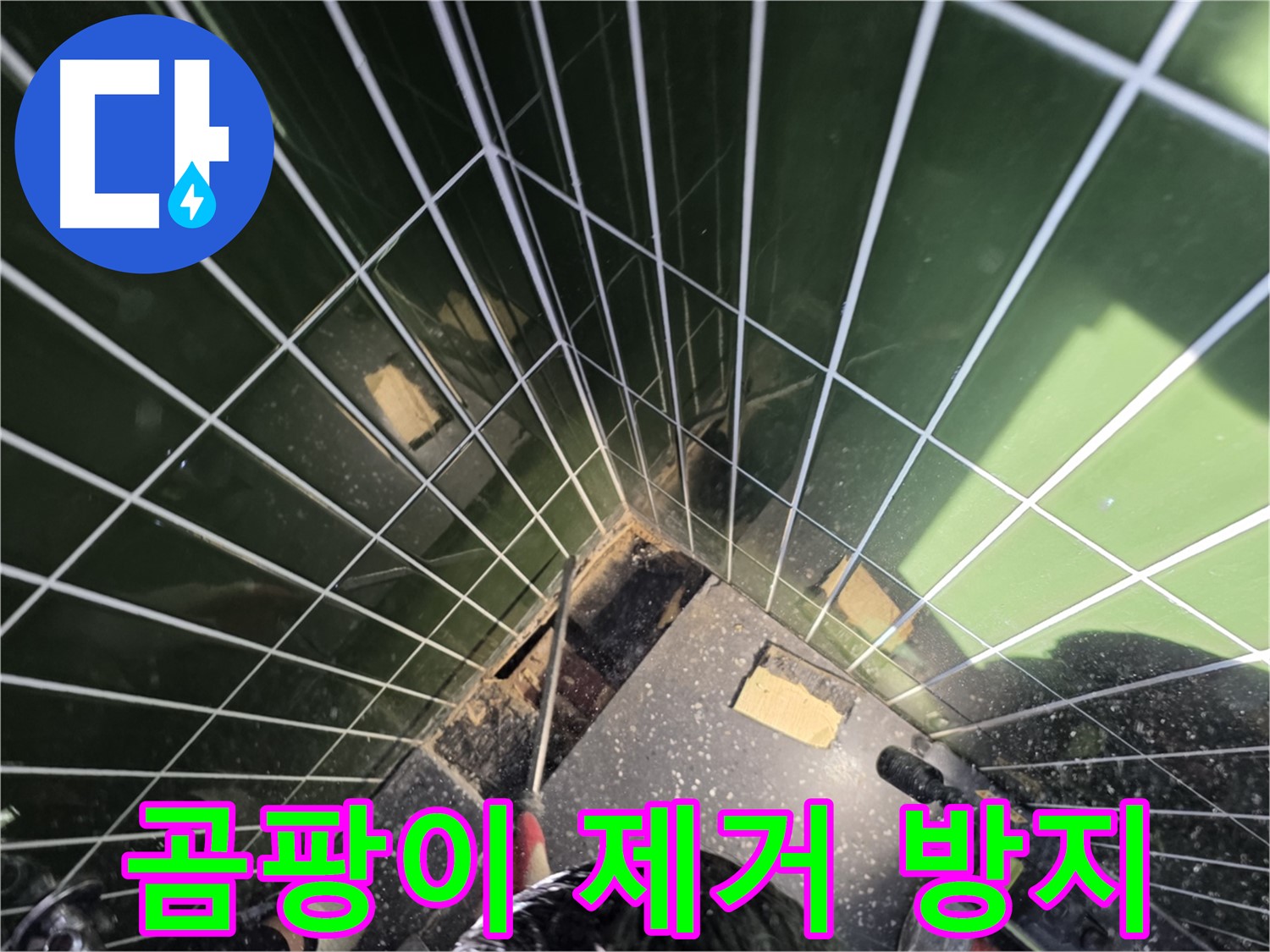 광진구 자양동 누수 - 벽면 곰팡이 제거 및 방지 작업 꼼꼼하게 진행