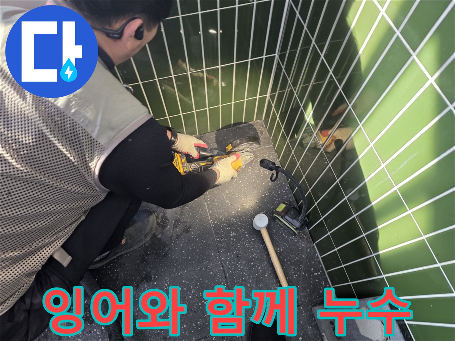 연못 속 잉어와 함께하는 누수 공사 - 잉어들아 눈 감아줄래나?