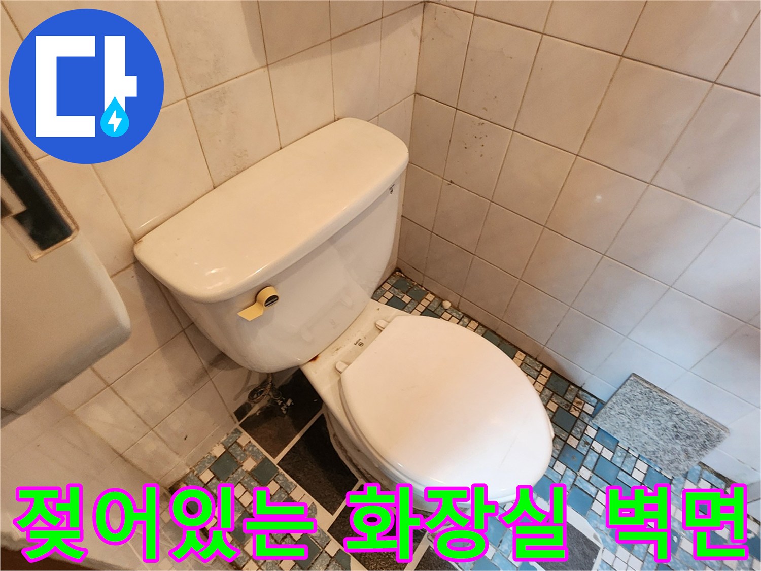 변기 뒤쪽 타일 사이의 습기와 곰팡이가 번진 모습
