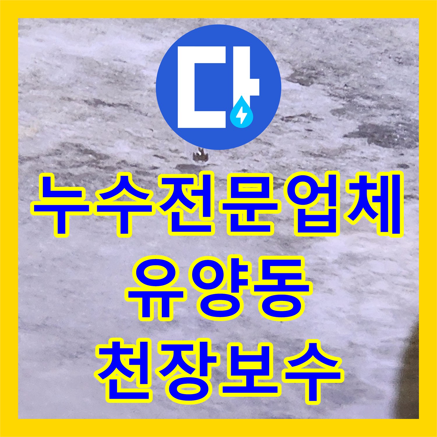 누수전문업체 화장실 유가 주변 방수층 파손으로 인한 천장 누수 보수 경기 양주시 유양동