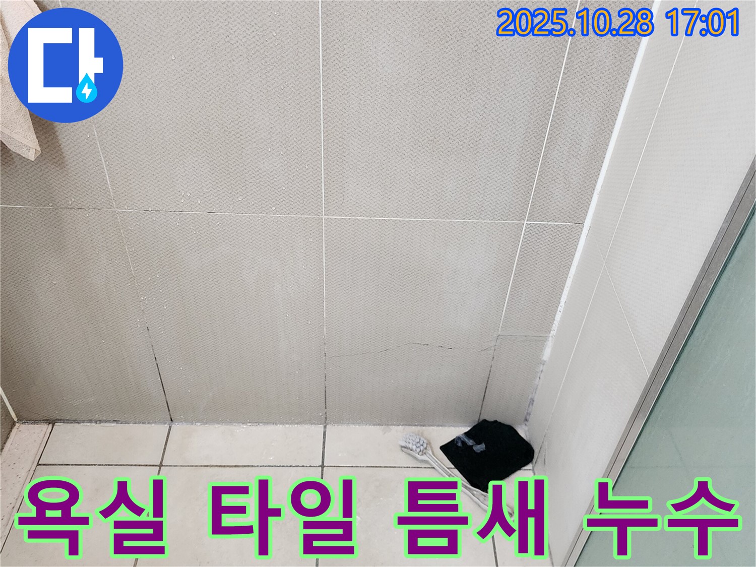 양주시 유양동 욕실 누수 현장 - 타일 틈새 백시멘트 손상으로 인한 누수 발생 지점 확인