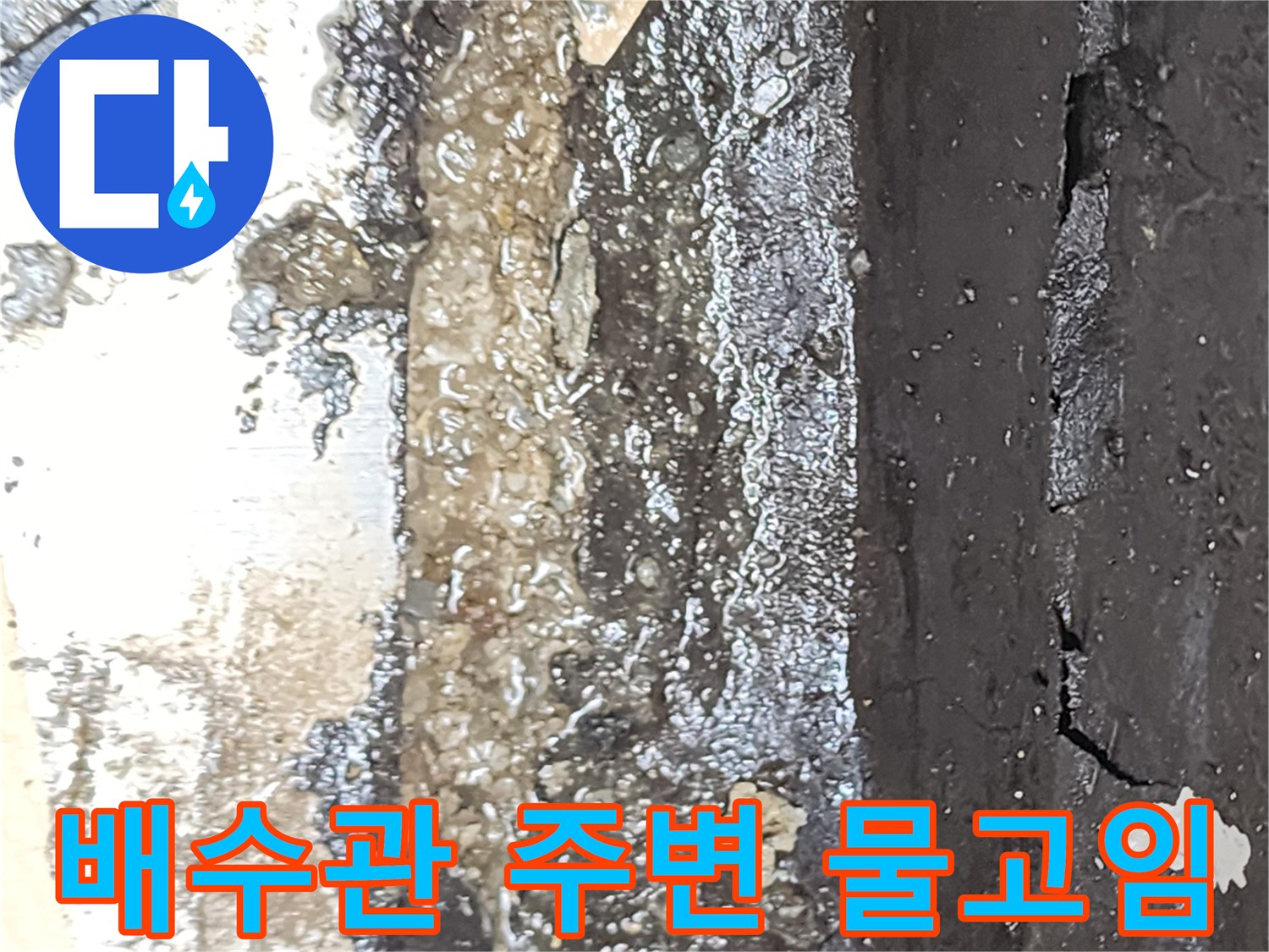 양주시 산북 eslint-배수구 주변에 고여있는 오염된 물과 찌꺼기 상태