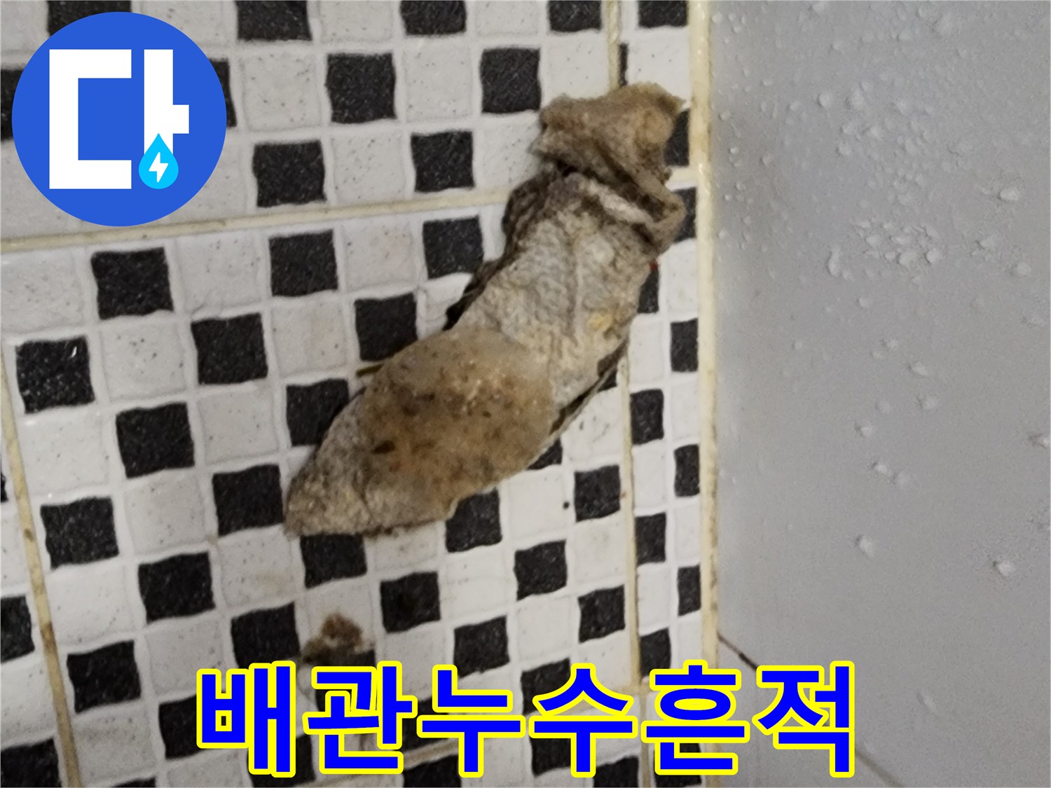 양주시 산북동 현장-체크 타일 틈새에 고인 오염된 물