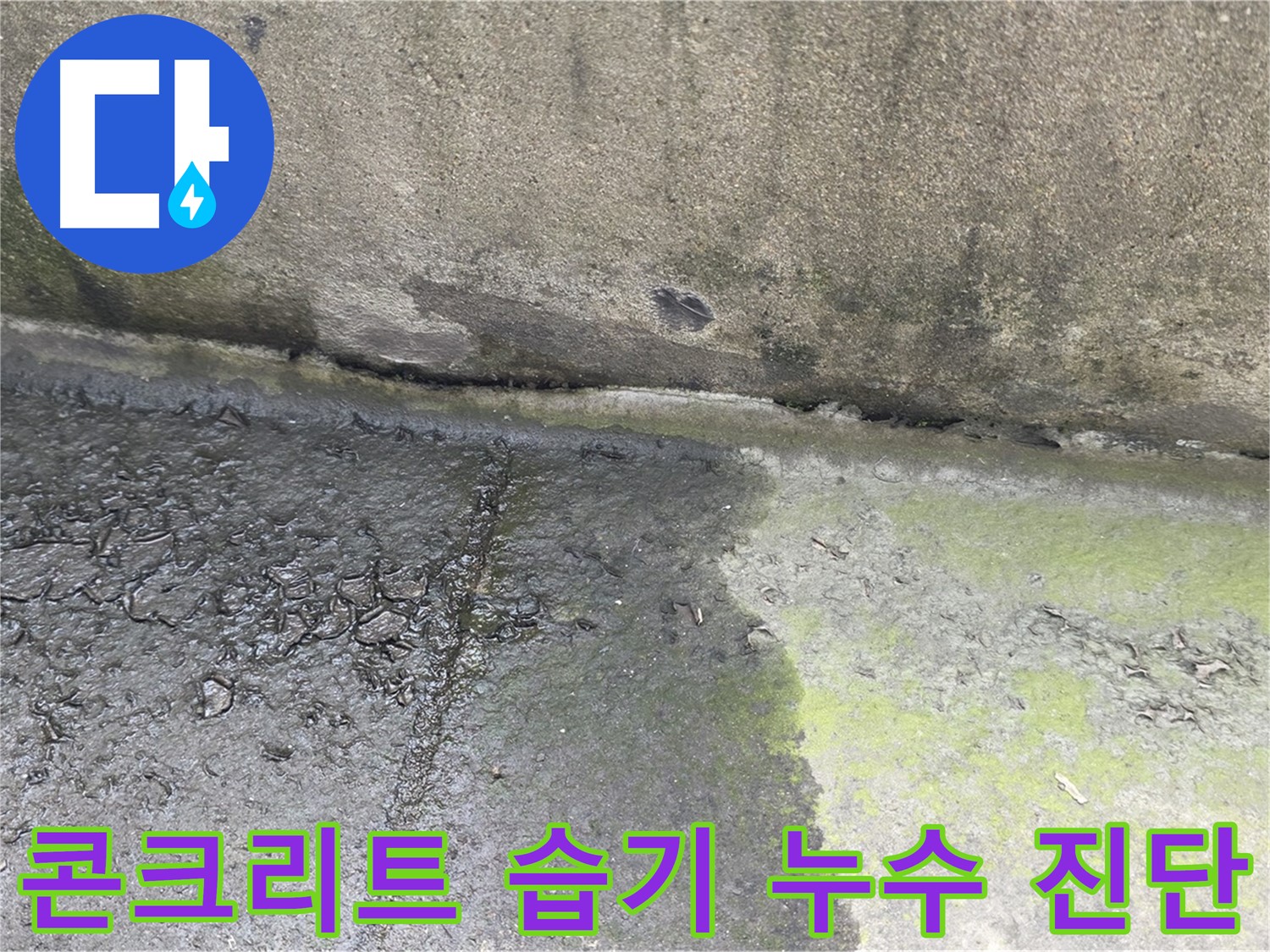 건물 콘크리트 습기 누수 진단 꼼꼼하게 진행 중