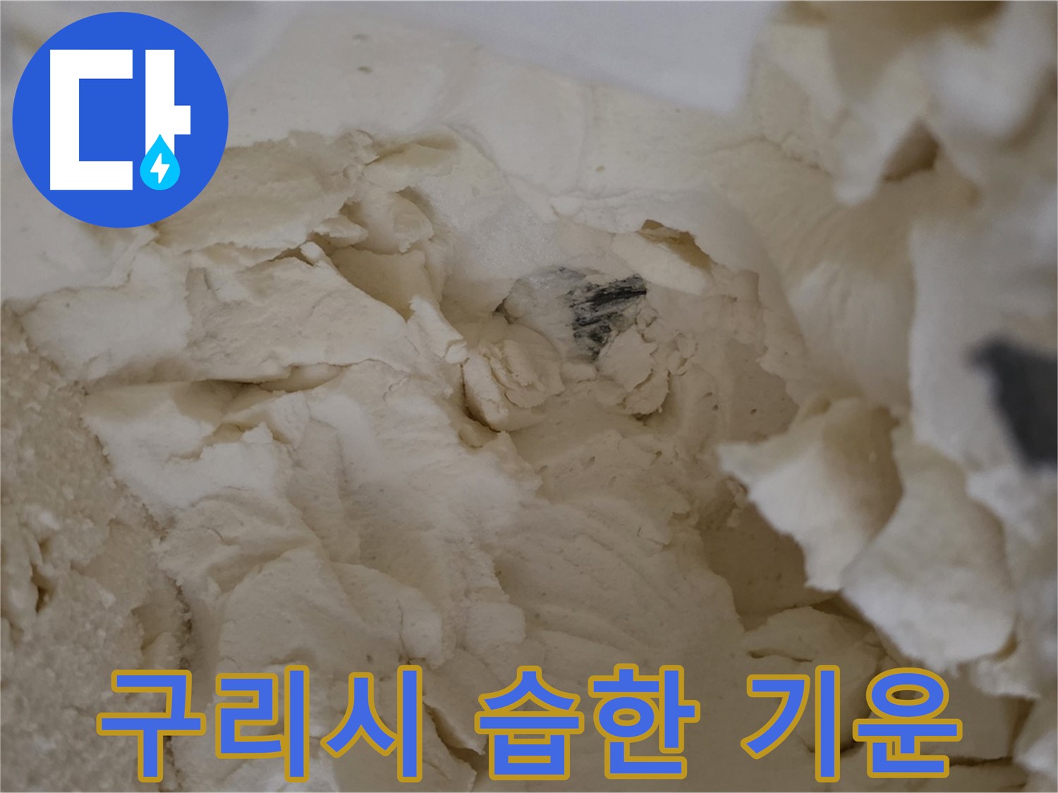 구리시 누수 - 낡은 보온재 속 배관 습한 기운 분석