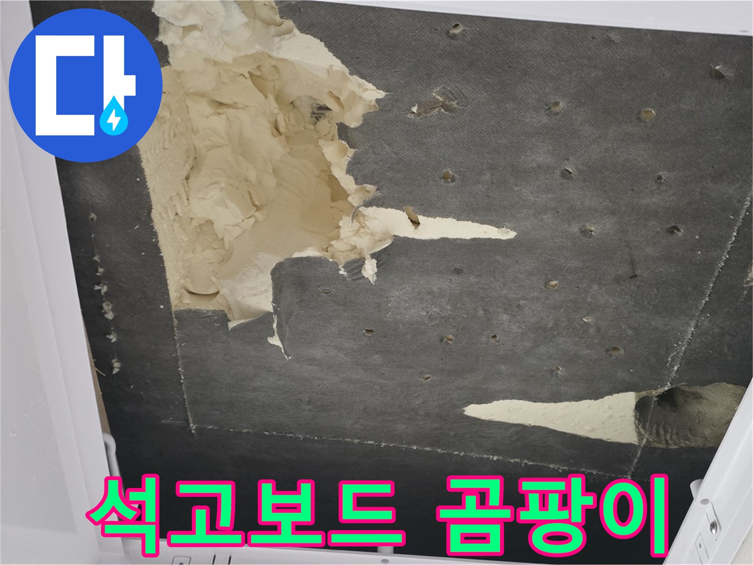 천장 누수 - 석고보드 곰팡이 - 건강 위협
