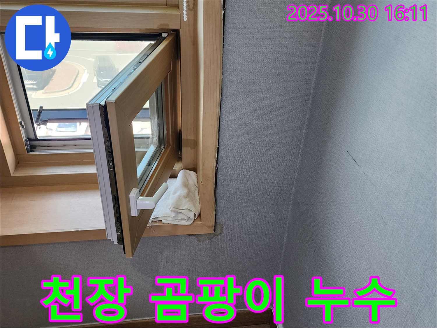 천장 곰팡이 - 누수와 곰팡이의 관계 - 곰팡이 제거 및 누수 해결