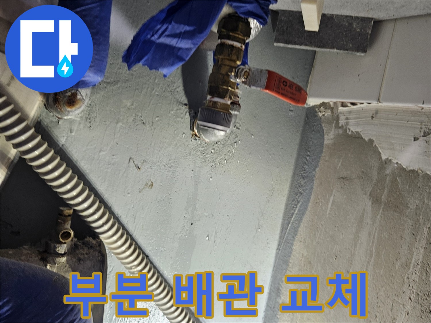 양평 용문 어수리 누수 - 누수 탐지 후 부분 배관 교체로 누수 해결