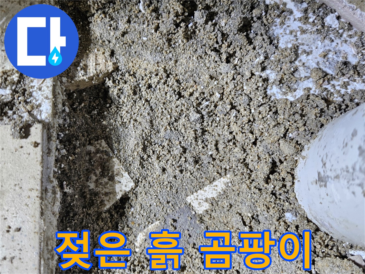 양평 용문면 어수리 누수 - 젖은 흙과 곰팡이 냄새 - 누수 진행