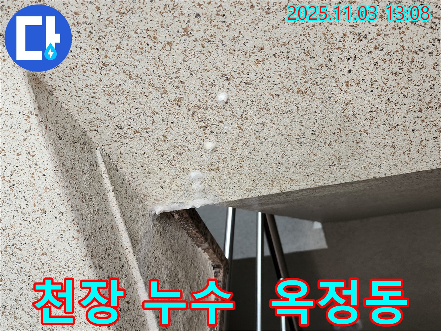 양주시 옥정동 아파트 천장 누수 발생 - 정확한 누수 원인 탐지와 신속한 누수 공사로 해결